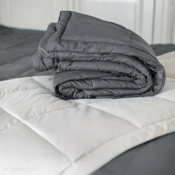Dessus de lit polyester microfibre 240x220 cm LAZY gris acier 150 g/m2