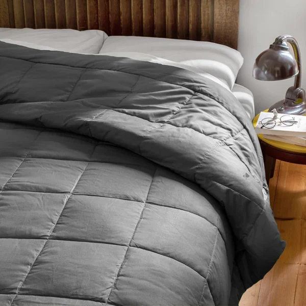 Dessus de lit polyester microfibre 260x240 cm LAZY gris acier 150 g/m2