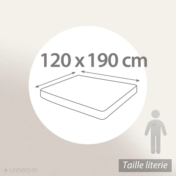 Drap housse uni 120x190 cm bonnet 35 cm percale de coton MANOIR vert Lichen