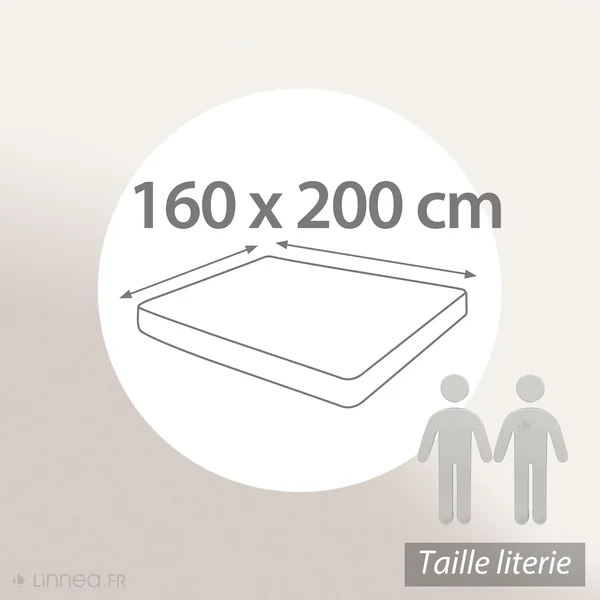 Drap housse uni 160x200 cm bonnet 35 cm percale de coton MANOIR gris Ardoise