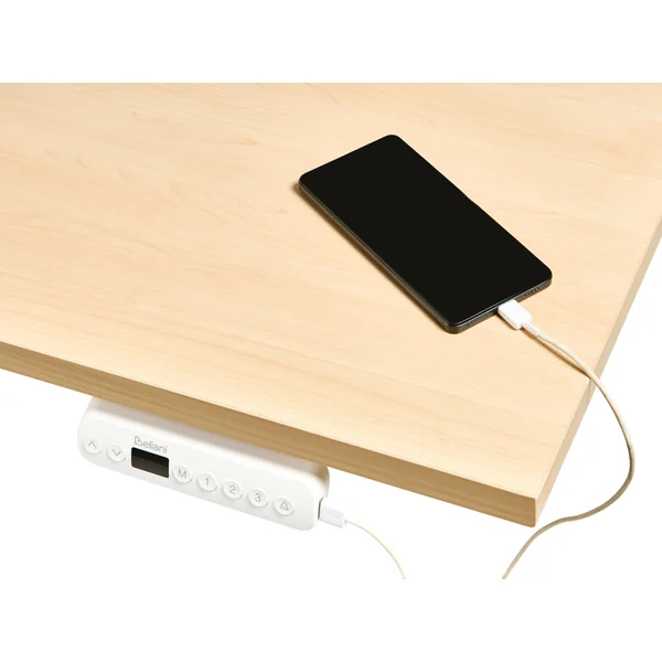 Electric Adjustable Standing Desk DESTINAS Light Brown/ White 120 cm 72 cm