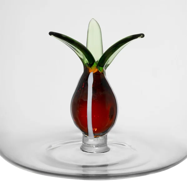 Gobelet cactus x3 en verre borosilicate 40cl - Colorea