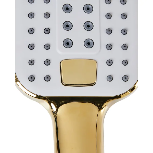 Kit de pommeau de douche avec tuyau flexible TINGO 4 modes Doré