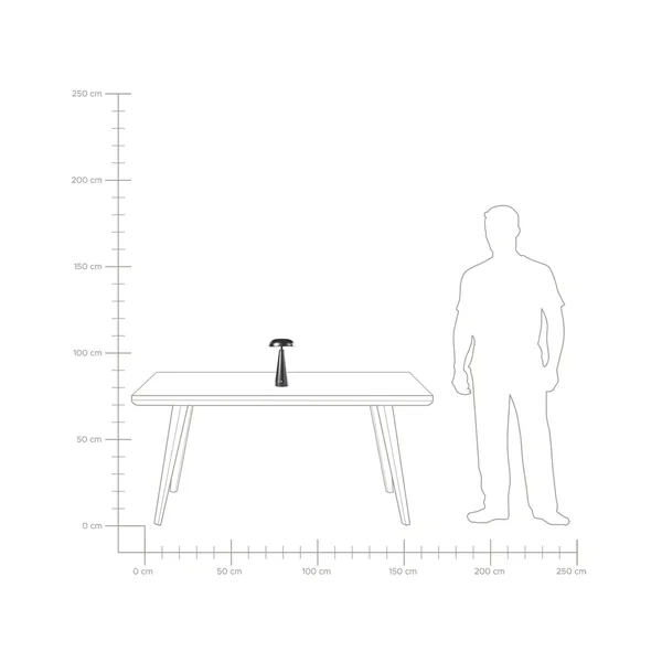 Lampe de table LED sans fil BOCONO Avec variateur Métal Noir