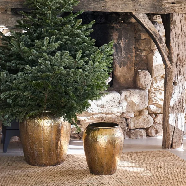 Lot de 2 caches pot en fer doré d48cm et d36cm - Baca