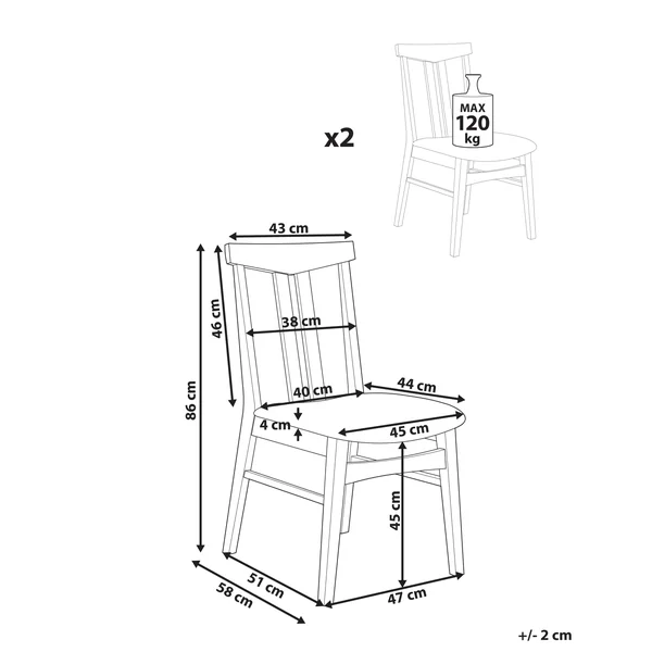 Lot de 2 chaises de salle à manger AVALON Bois Gris clair