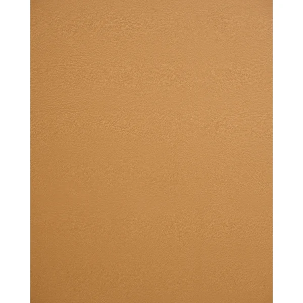 Lot de 2 chaises de salle à manger HOSKIN Cuir PU Marron