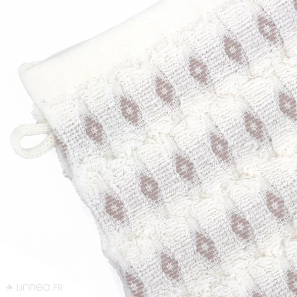 Lot de 2 gants de toilette 16x21 cm coton ESSENTIAL vert