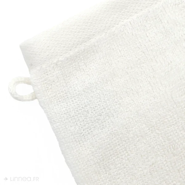 Lot de 2 gants de toilette 16x21 cm coton RIBBON II vert