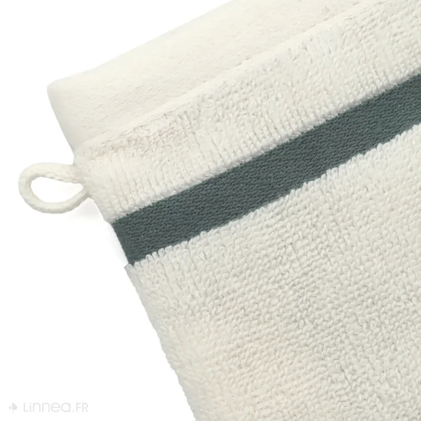 Lot de 2 gants de toilette 16x21 cm coton RIBBON vert