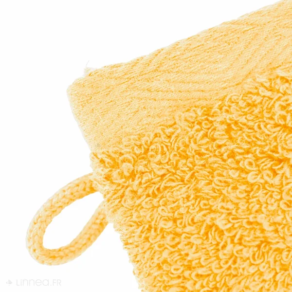 Lot de 2 gants de toilette 16x21 cm SOFTY or