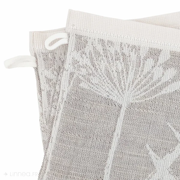 Lot de 2 gants de toilette coton 16x21 cm collection DRY DANDELION beige