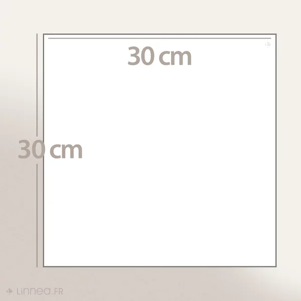Lot de 2 serviettes invité 30x30 cm 100% coton peigné ALBA taupe