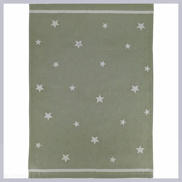 Lot de 2 torchons de cuisine 50x70 cm collection NOVA 100% Coton vert