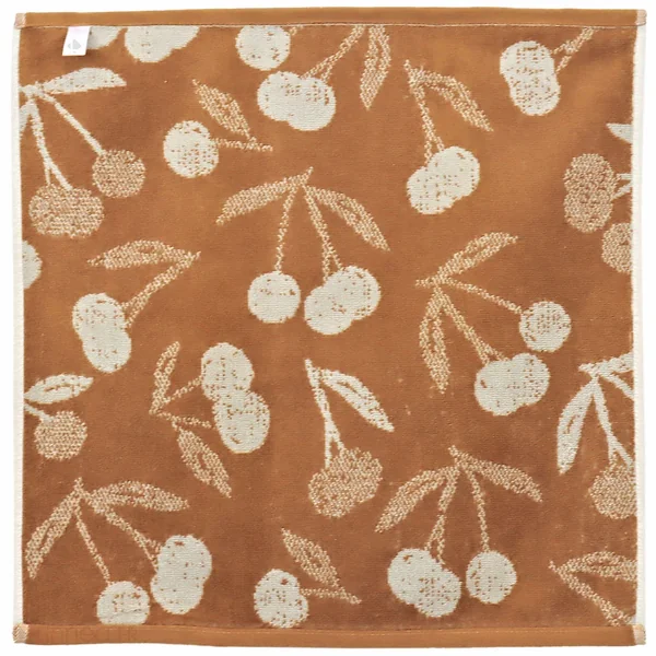 Lot de 2 torchons de cuisine éponge 50x50 cm coton BING marron