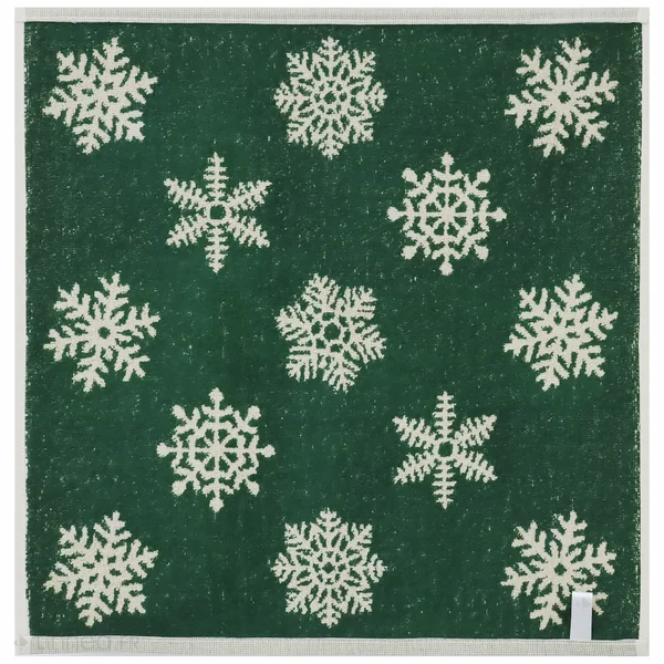 Lot de 2 torchons de cuisine éponge 50x50 cm coton ICE vert