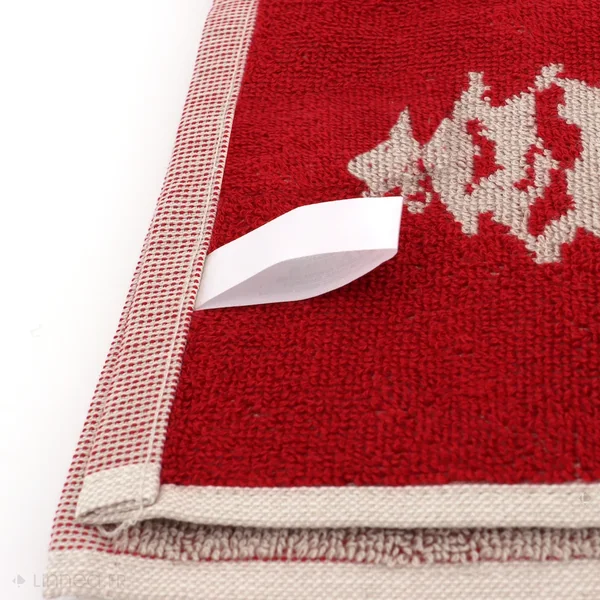 Lot de 2 torchons de cuisine éponge 50x50 cm coton SKI rouge