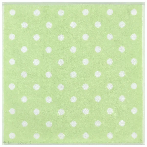 Lot de 2 torchons de cuisine éponge 50x50 cm coton SPOT II vert