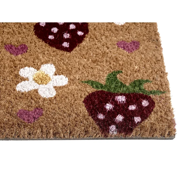 Paillasson SHAININ Multicolore 50 x 80 cm Fibre de coco