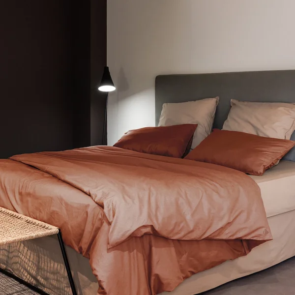 Parure de lit 240x220 cm et 65x65 cm 100% coton lavé PALACE marron terre cuite 3 pièces