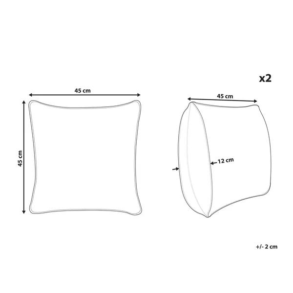 Set van 2 sierkussens NOLANA 45 x 45 cm Grijs effen