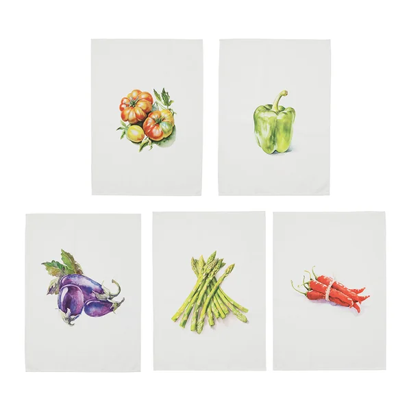 Torchon (x5) en coton multicolore 50x70cm - Primeur