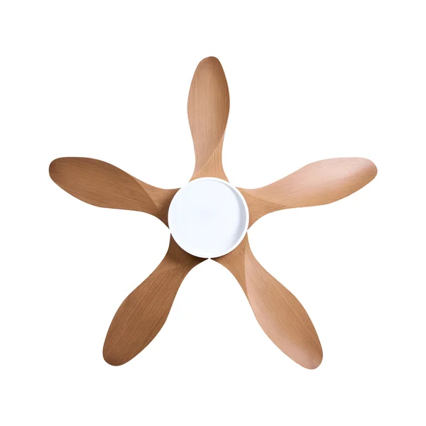 Ventilateur de plafond avec lampe BARBET Avec télécommande LED Marron clair
